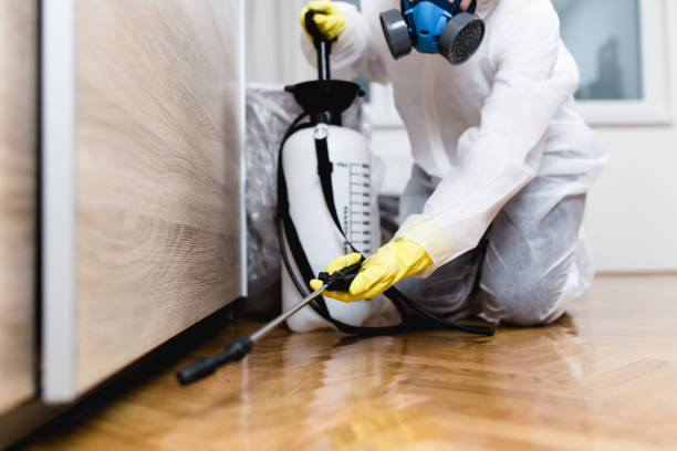 Professional Pest Control in Amesti, CA