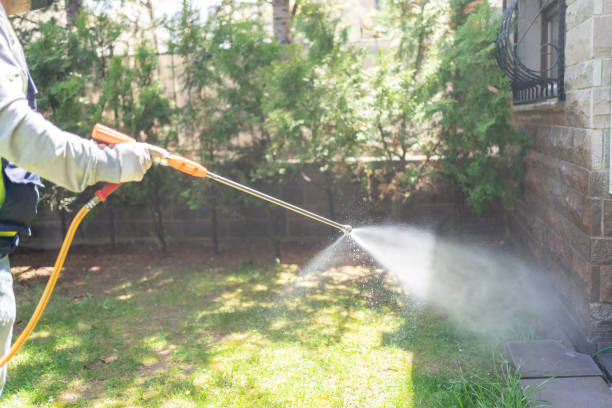Best Local Pest Control Services  in Amesti, CA