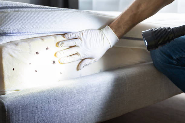 Best Wildlife Control Services  in Amesti, CA