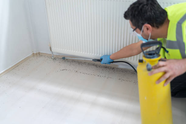 Best Pest Prevention Services  in Amesti, CA