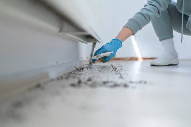 Best Best Pest Control Companies  in Amesti, CA